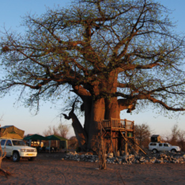 Motorradreisen Afrika Meteoriten Abenteuerliche Tsumkwe